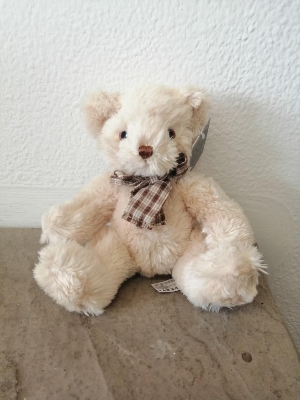 James Junior Bear