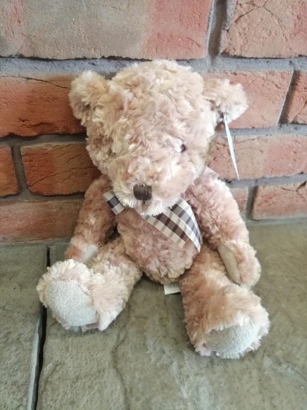 teddy buy online