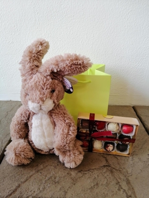 Easter Bunny and Chocolates
