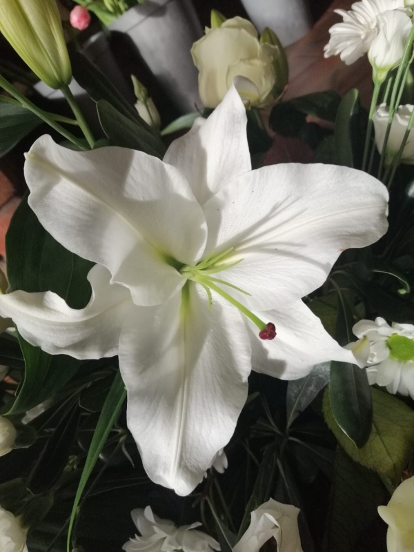 White Rose and Lily Casket Spray