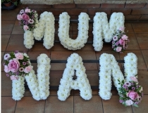 Standard Lettering