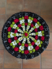 Luxury Dart Board
